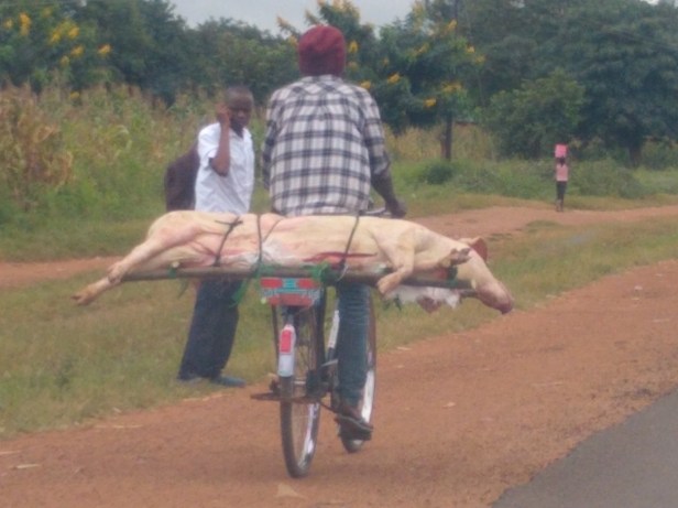 IMG_20190413_102844163