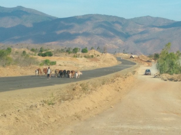 IMG_20191119_154002594